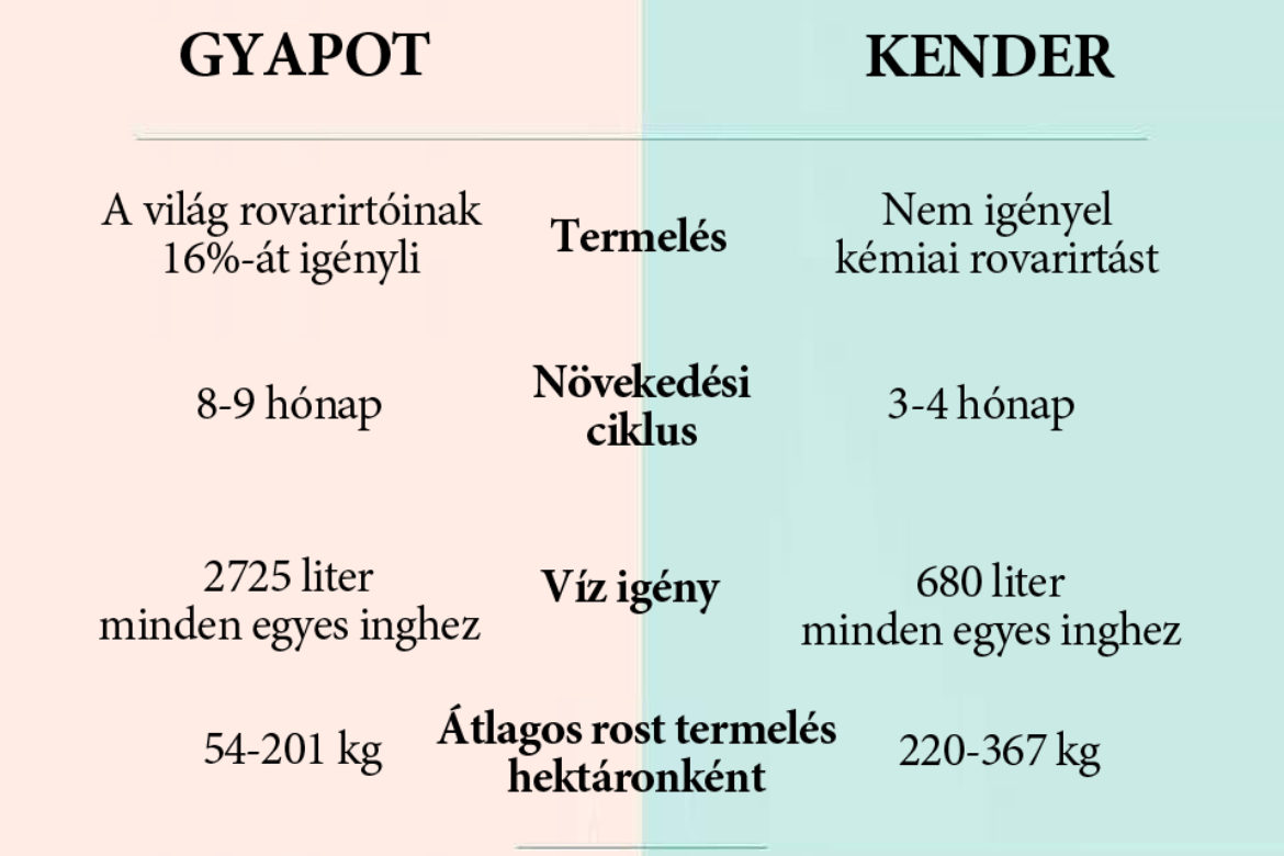 gyapot-vs-kender