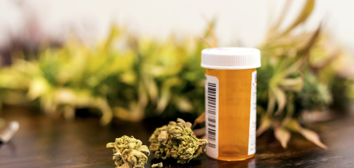 A kannabisz segít a betegeknek csökkenteni a vényköteles fájdalomcsillapítók használatát