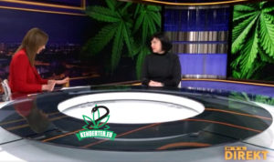 Lehet, hogy Horvátország már a héten legalizálja a kannabiszt!