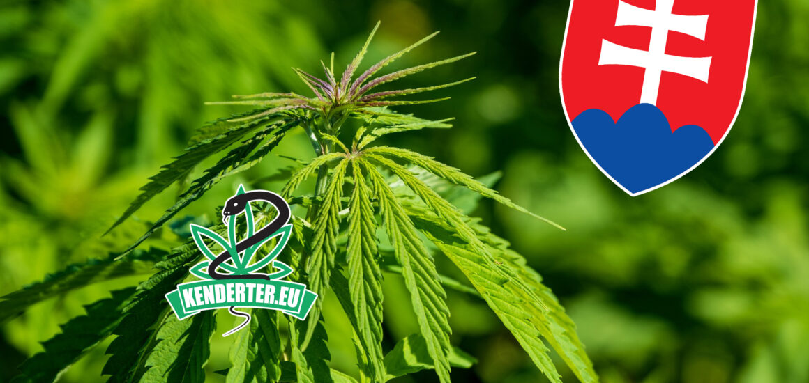 Szlovákia ismét megcélozza a CBD pszichotróp anyagok listájáról való eltávolítását