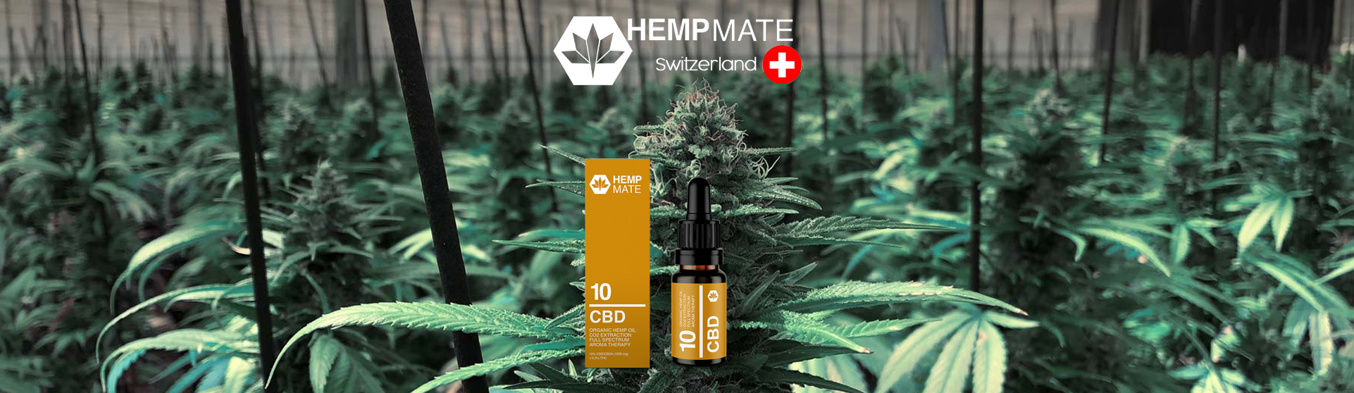 HempMate - Svájci kender termékek - CBD olajok - KenderTér