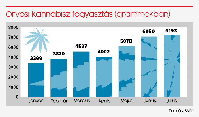 A gyógyszerészek már 33 kilogrammnyi orvosi kannabiszt adtak ki. Kétszer annyit, mint tavaly.