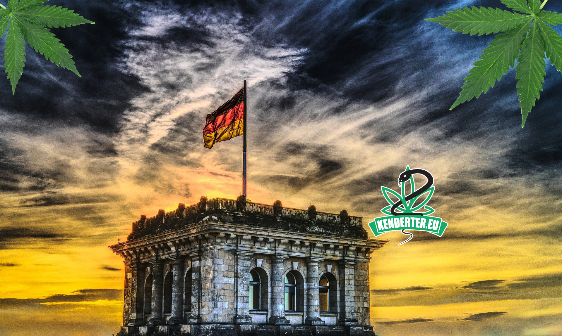 A CBD hozzáférésének javítása további politikai támogatókat szerzett Németországban az Európai Bíróság döntését követően