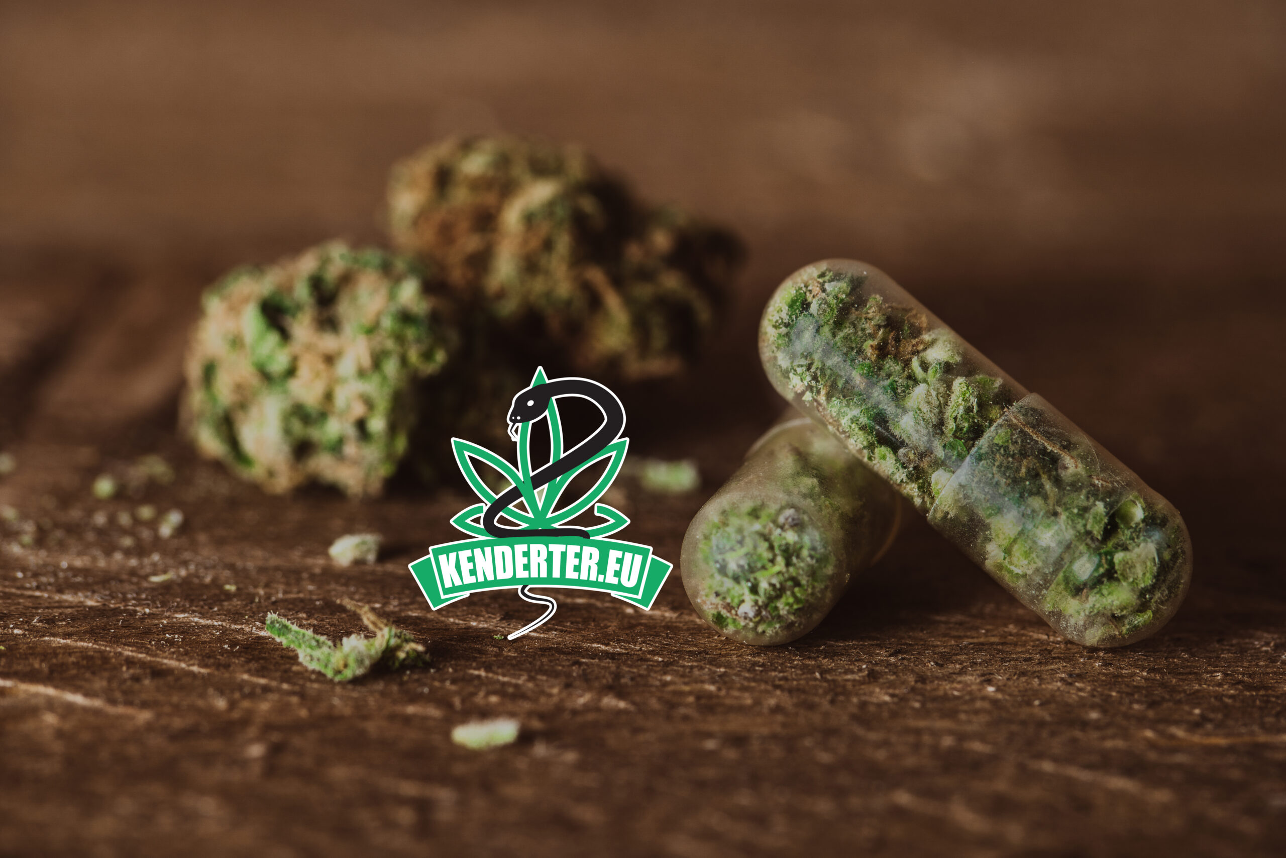 A kannabisz alapú antibiotikumok öt éven belül felírhatóak lehetnek