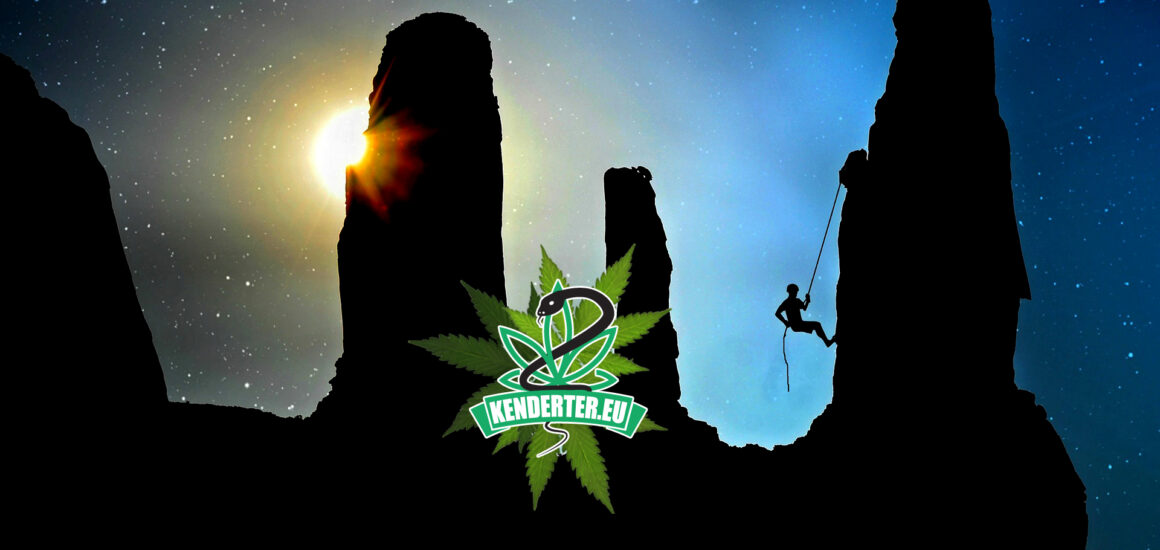 A világszintű kannabisz kísérlet