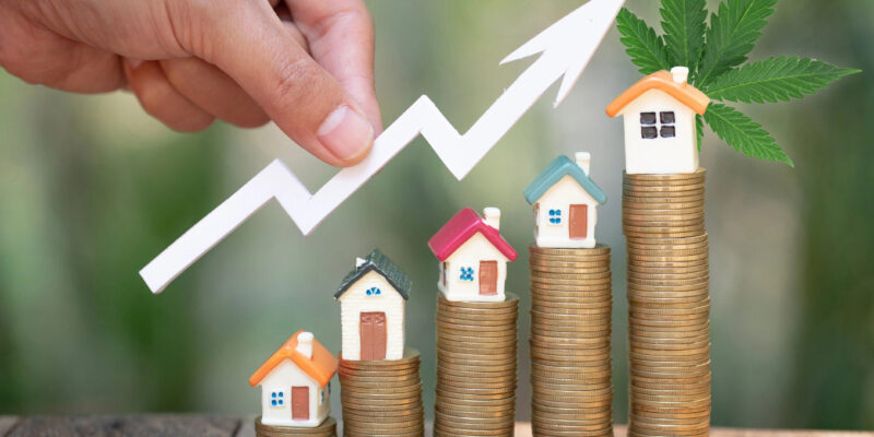 A legális kannabisz vállalkozások jelenléte növeli az ingatlanok árát