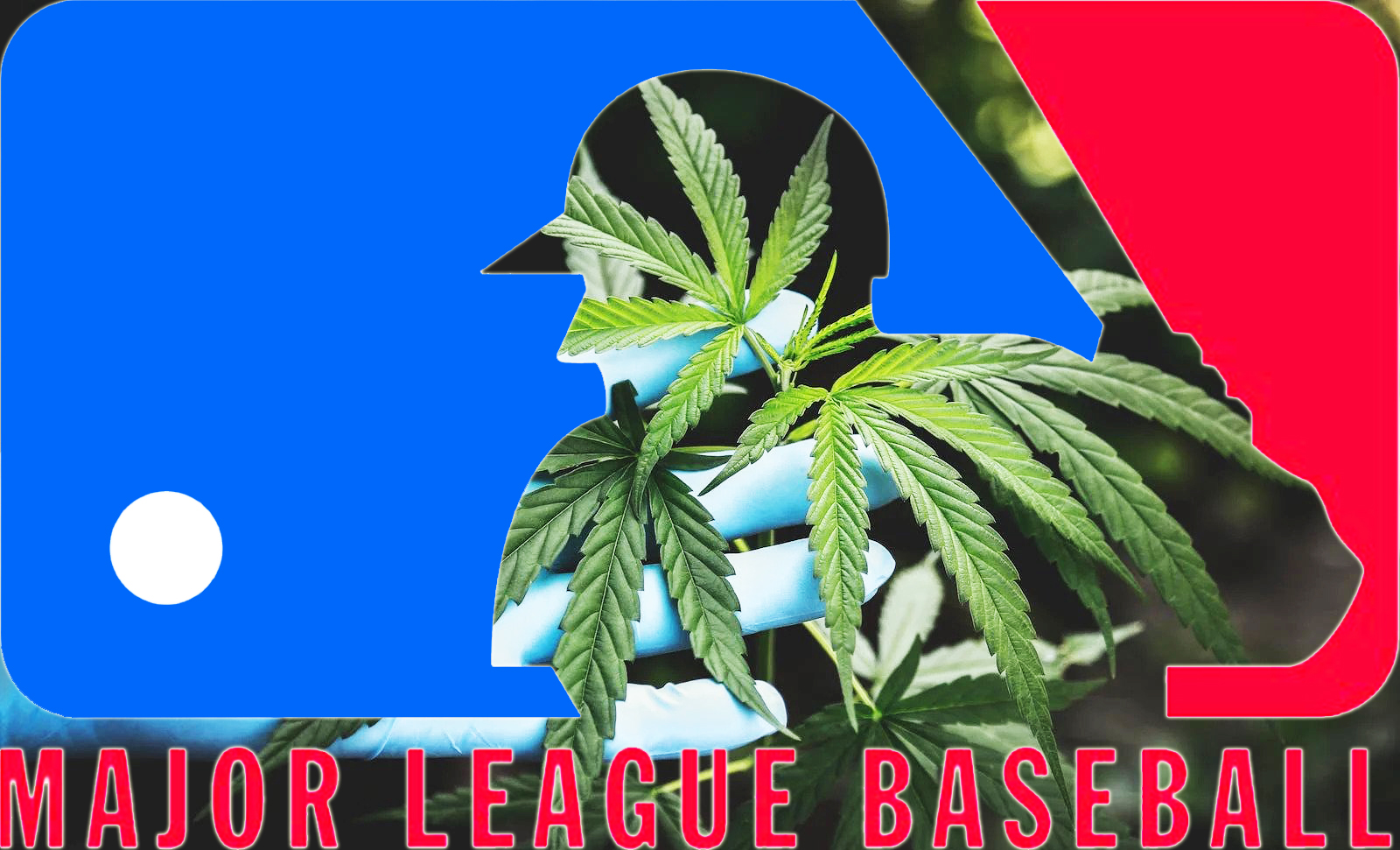 Egy amerikai kannabisz vállalat szponzorálási szerződést köt a professzionális baseball ligával