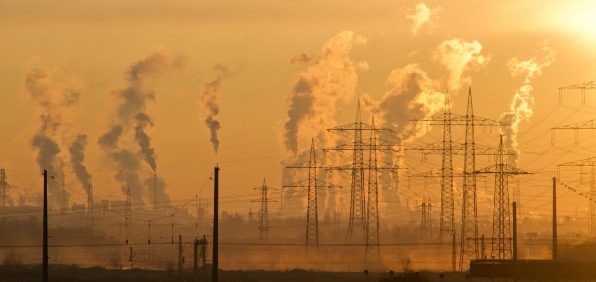 A kender kulcsfontosságú lehet az éghajlatváltozás szabályozásában, állítják a kutatók.