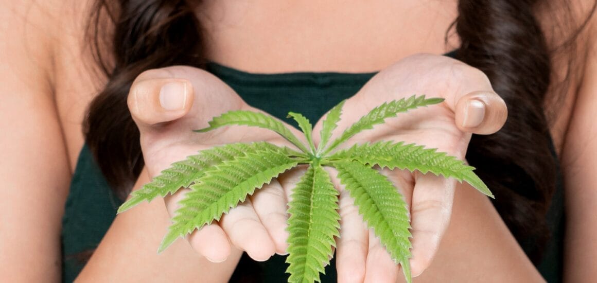 Az Amerikai Orvosszövetség tanulmánya szerint egyre több fájdalmakkal küzdő beteg vált opioidokról orvosi kannabiszra