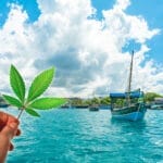 Az Amerikai Virgin-szigetek legalizálták a rekreációs kannabiszt