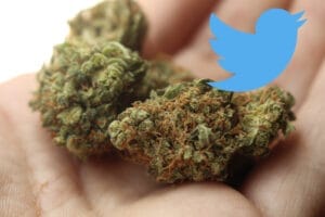 Twitter lett az első közösségi média platform, amely engedélyezi a kannabisz hirdetéseket