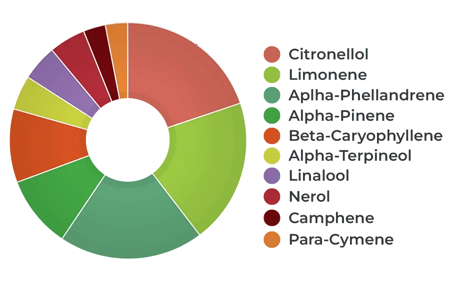HEMPIT HEMP!TERP Creative 9% CBD Olaj Terpénekkel