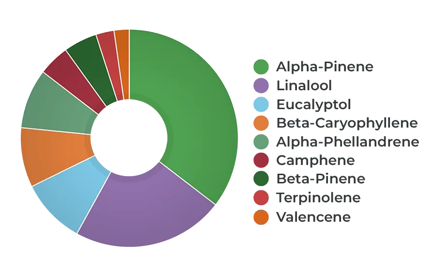HEMPIT HEMP!TERP Focus 3% CBD Olaj Terpénekkel