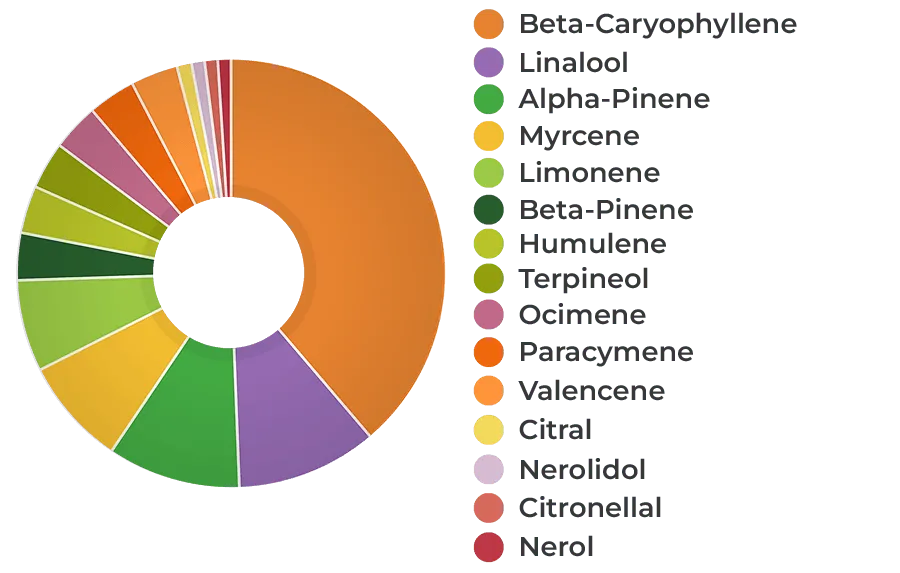 HEMPIT HEMP!TERP Immune 18% CBD Olaj Terpénekkel