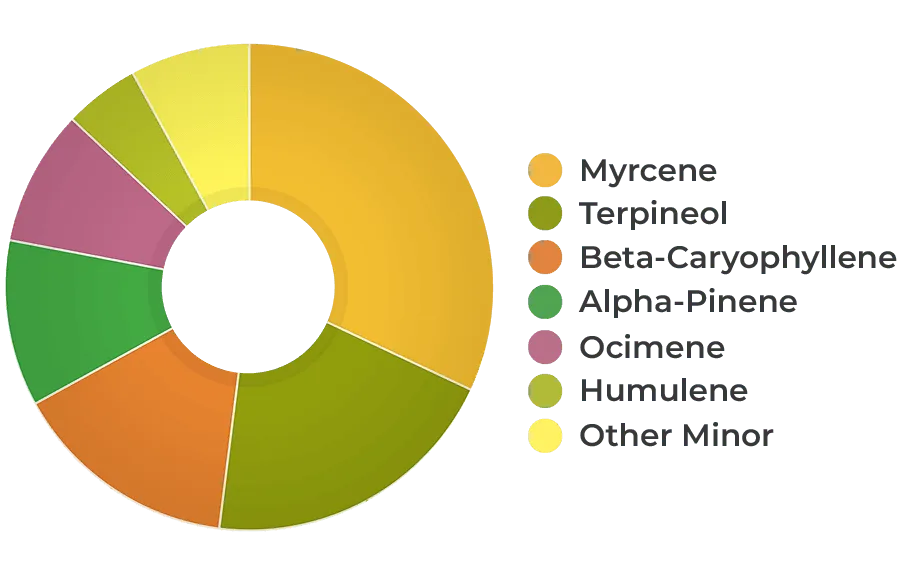 HEMPIT NATURAL 9% CBD Kenderkivonat Terpénprofil