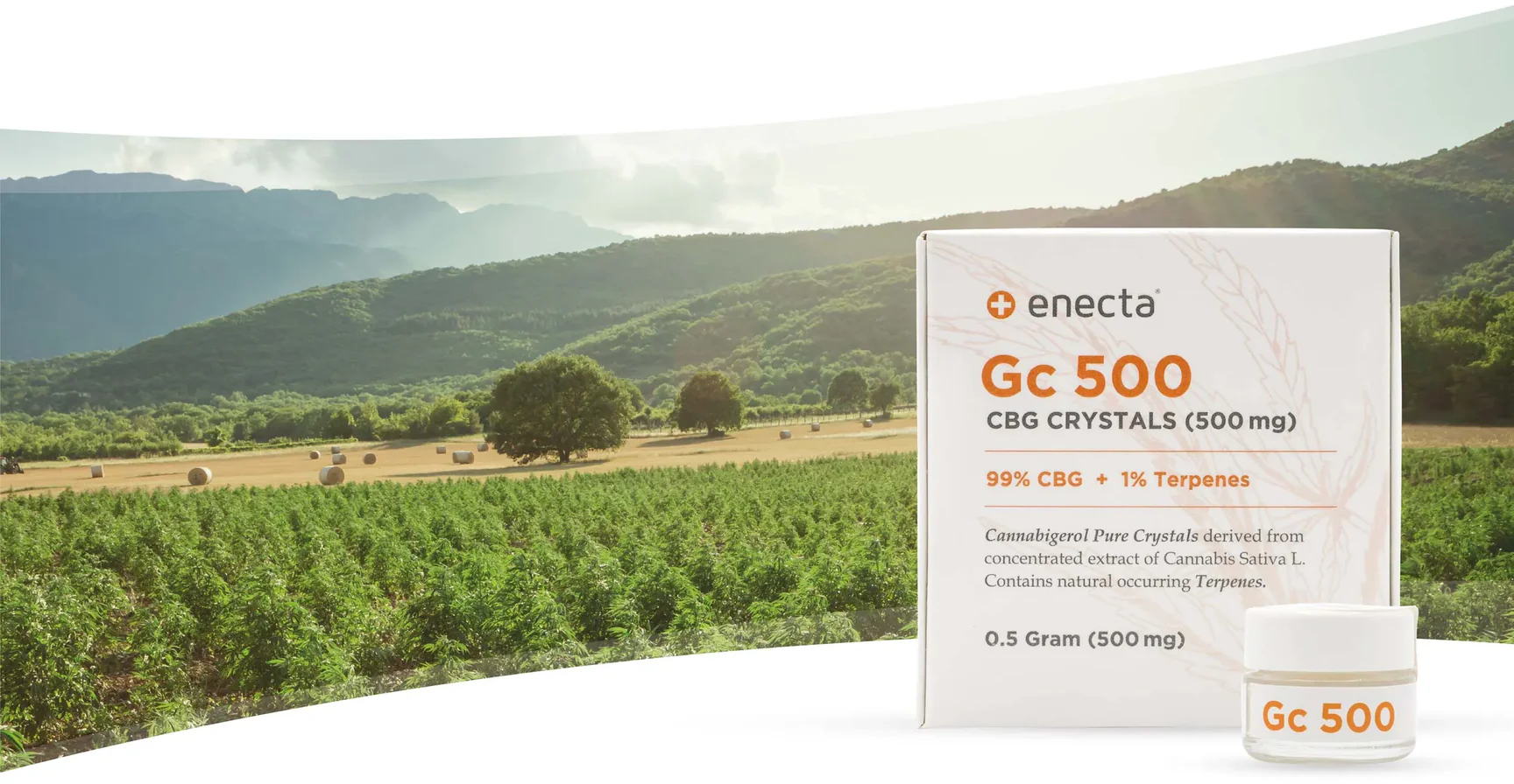Enecta GC500 99% CBG Kristály + 1% Terpén (500mg)
