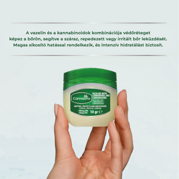 Plant of Life Cannalina vazelin 1% CBD és 0,5% CBG (10g)