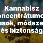 Kannabisz koncentrátumok: típusok, módszerek és biztonság