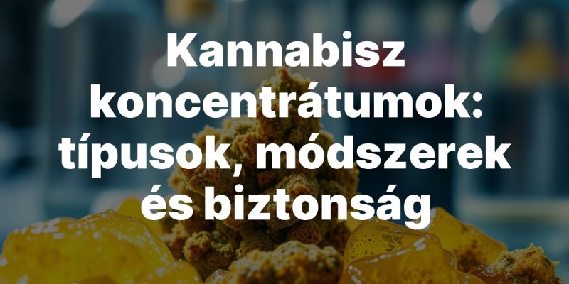 Kannabisz koncentrátumok: típusok, módszerek és biztonság