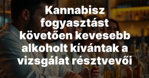Kannabisz fogyasztást követően kevesebb alkoholt kívántak a vizsgálat résztvevői